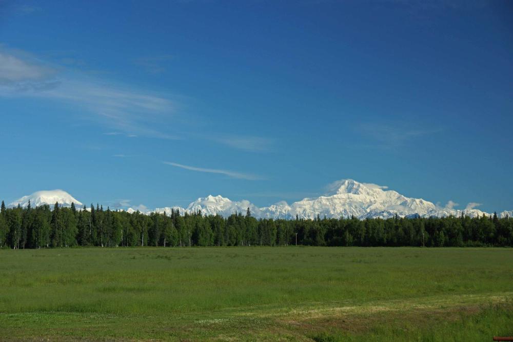 McKinley View B&B